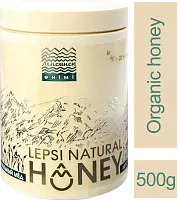 Lepsi organic honey, 500 g