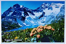 Altyn Adam postcard, Kazakhstan nature, Trans Ili Alatau and flowers
