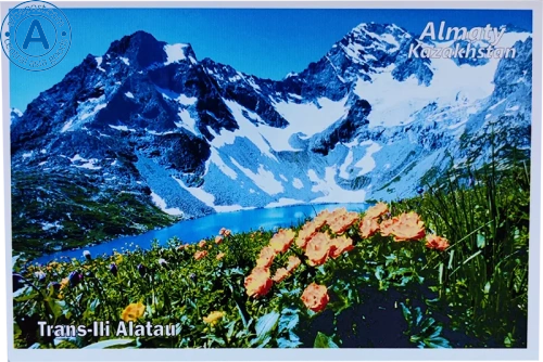 Altyn Adam postcard, Kazakhstan nature, Trans Ili Alatau and flowers