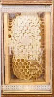 Honey 100% comb honey, 230 g